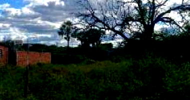 Terreno com 393 m² em Cajazeiras - PB