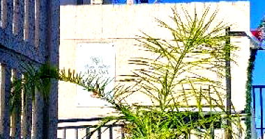 Apartamento 2 quartos 1 banheiro 40,53m² área privativa