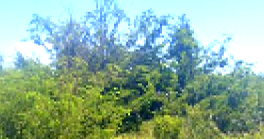 Lote Urbano Amplo em Bom Jesus da Lapa/BA