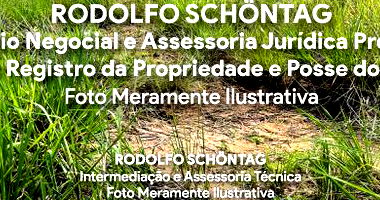 Terreno Urbano 2520 m² em Goiana - Excelente Oportunidade