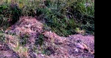 Terreno em Condomínio com 1135.24m²