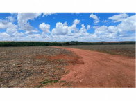 Fazenda São Domingos - 25% de terras - 71.16 ha - Catalão/GO