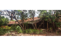 Barracão com 2.619m² e Terreno com 10.800m² em Tambaú/SP