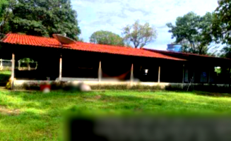 Fazenda Rural de 159,72 ha com Casa e Benfeitorias