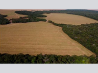 Amplo Terreno Rural em Vilhena - 74,9 ha
