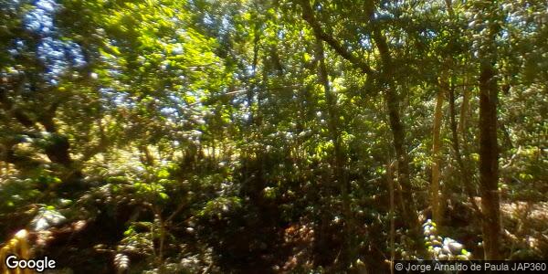 Terreno plano de 360m² em Novo Brasil/GO