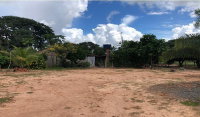 Fazenda Lago Azul IV com 196,59 hectares em Caiapônia