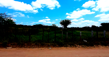 Terreno em Zona Rural com 2.453m² em Surubim - PE