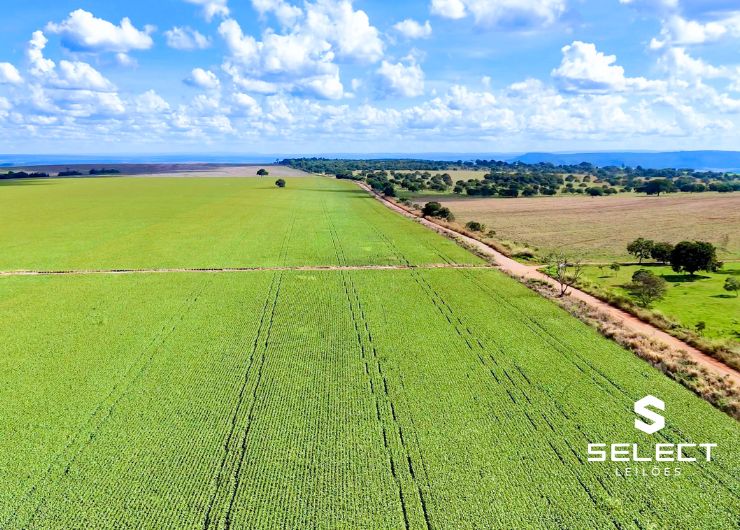 Fazenda Mosquito rural com 335 hectares, sede e benfeitorias