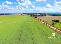 Fazenda Mosquito rural com 335 hectares, sede e benfeitorias