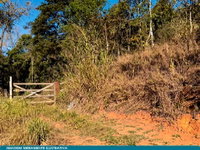 Direitos sobre Área 590 ha (Fazenda Morro Grande e Caratinga)