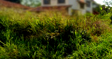 Terreno plano com 252m², lote 3, desocupado, ideal para investimento