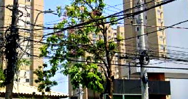 Apartamento em Nova Iguaçu com 2 Quartos e 1 Vaga