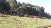 Fazenda Rural com 274.359,26m², 2 casas, 7 quartos, 4 banheiros