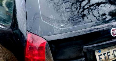 Fiat Palio Fire Economy 2010/2011