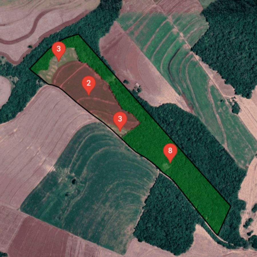 Imóvel Rural de 14.53ha em Araruna/PR - Oportunidade Única!