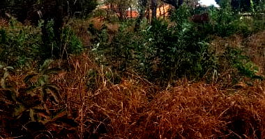 Lote em Condomínio com 985,58 m² em Jaboticatubas/MG