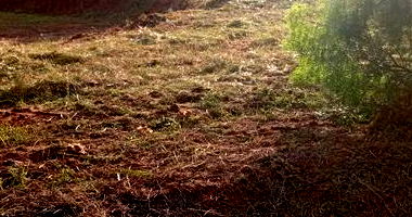 Terreno Urbano com Área Total de 250 m² em Terra Roxa/PR