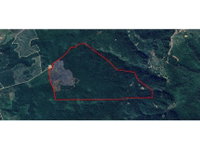 Área Rural com 191,89 ha, ocupada, ideal para investimento