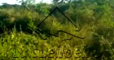 GLEBA DE TERRAS - Fazenda Barra da Onça