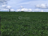 1,3ha em Rincão dos Vieiras, Senador Salgado Filho/RS