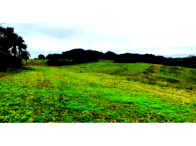 Sítio com 12,10 hectares na Linha Santa Lucia