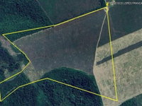 Fazenda Rural com 31 ha, ocupada, ideal para investimento