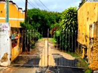 Grande terreno com casas e vegetação, 9.869m², Limeira