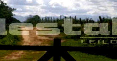 Terreno Rural Amplo em Belford Roxo/RJ