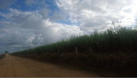 Imóvel rural com 484.000m² e com plantação de cana-de-açúcar