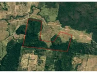 Área Rural em Leilão com 1.472,19ha