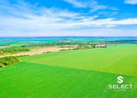 Fazenda Itavera com 50,26 Ha em Laguna Carapã - MS