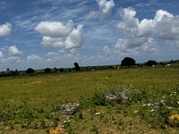 Terreno em Alhandra - PB