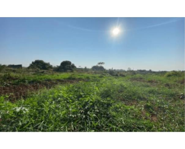 Terreno comercial com 1.200m² no Bairro Industrial
