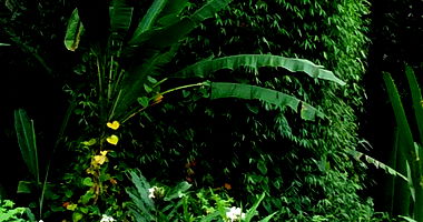 Terreno Rural com 308,46ha em Antonina/PR