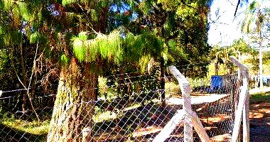 Terreno amplo em Poços de Caldas com 10.980m²
