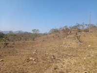 Imóvel Rural de 1.452ha com Potencial para Investimento