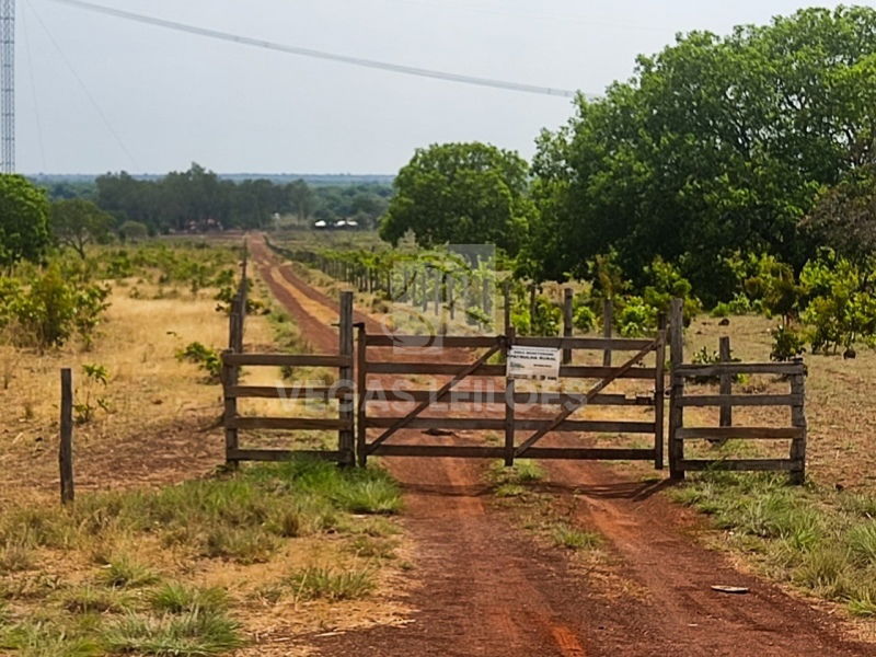 Fazenda IMPOEIRA com 256,99 hectares em Flores de Gois/GO