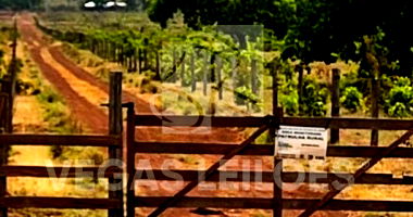 Fazenda IMPOEIRA com 256,99 hectares em Flores de Gois/GO