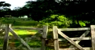 Fazenda com 142,48m² construídos - Ocupada