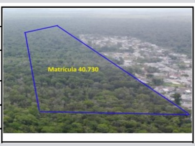 Área Rural com 339.700m² em Matinhos - PR