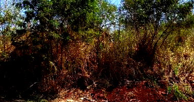 Terreno amplo em Barra Bonita, ideal para construção