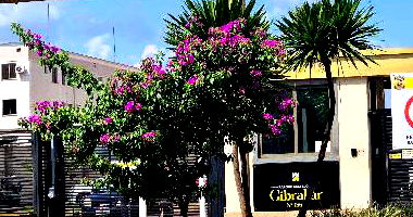 Apartamento com 2 Quartos e 1 Vaga em Campo Grande
