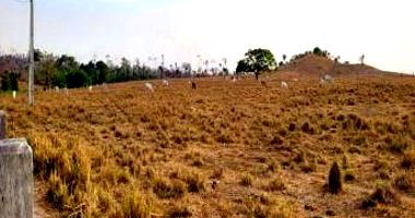 Fazenda Bom Sucesso Gleba B - 202,17 HA em Nova Bandeirantes/MT