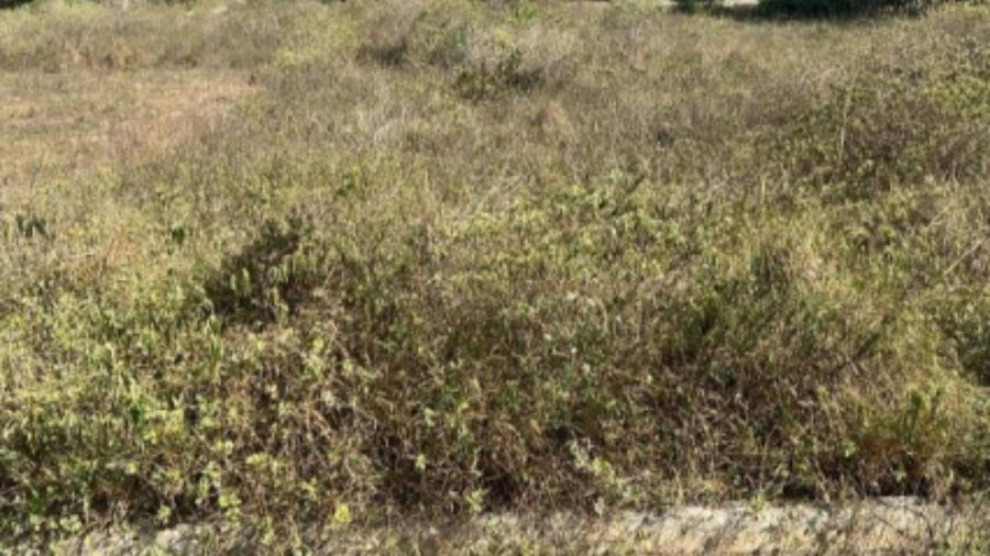 Terreno no Loteamento Veredas - 140 m² em Feira de Santana