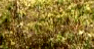 Terreno no Loteamento Veredas - 140 m² em Feira de Santana