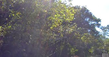 Terreno de 2000m² em Condomínio Vila Real do Moinho Velho