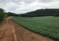 Terreno Rural 48.400m² - Francisco Beltrão/PR