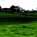 Fazenda com 133,42ha em Uberlândia