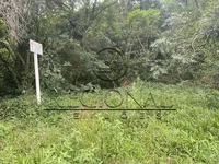 Terreno 430m² em Montenegro/RS - Loteamento Vila Pinheiros